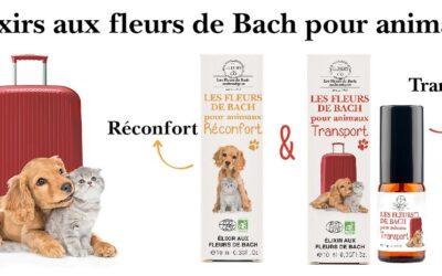 Nouveaux élixirs dédiés aux animaux