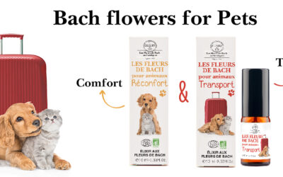 New elixirs dedicated to pets