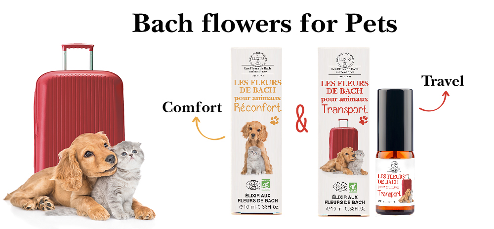 Home - Les Fleurs de Bach